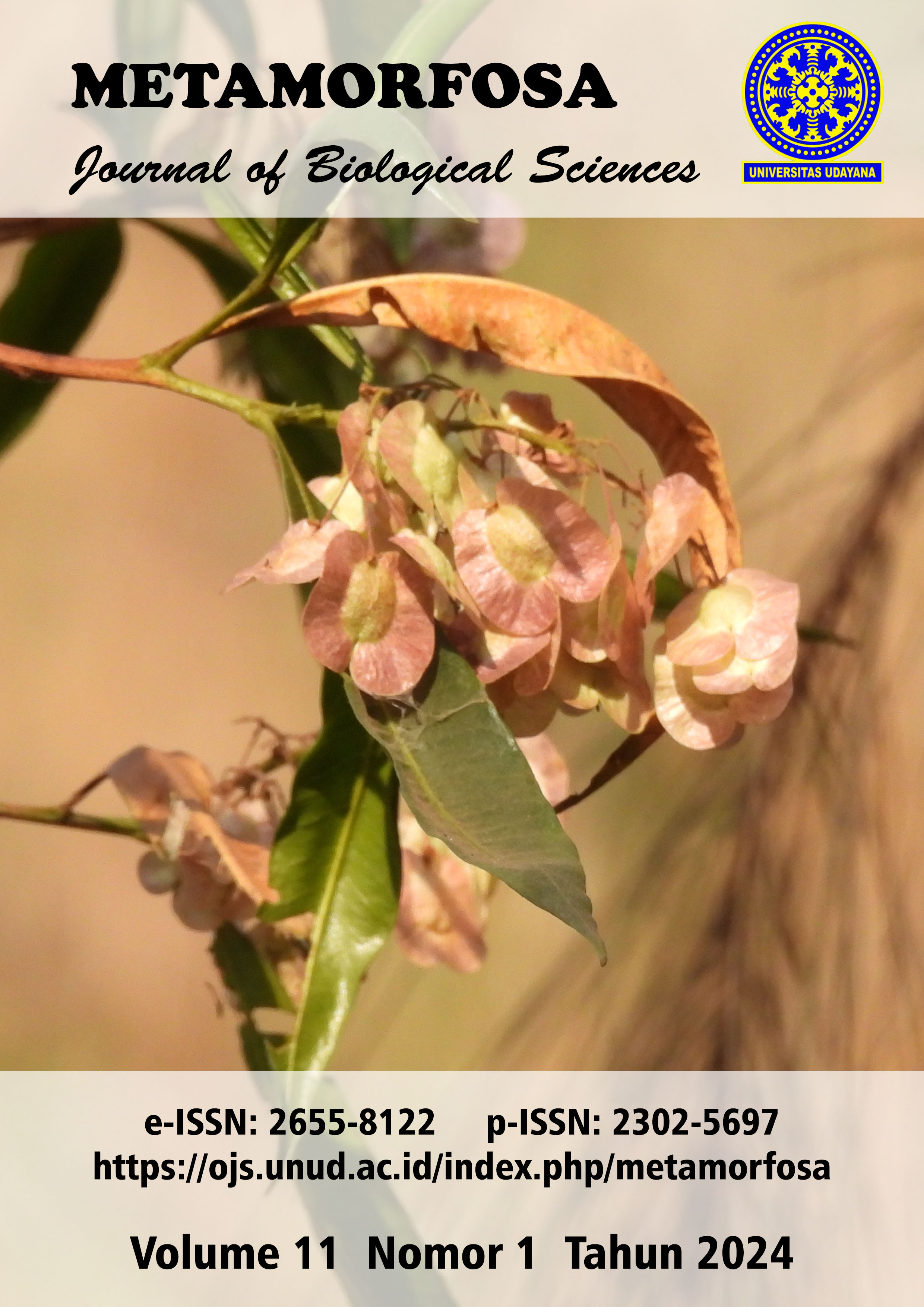					View Vol. 11 No. 01 (2024)
				