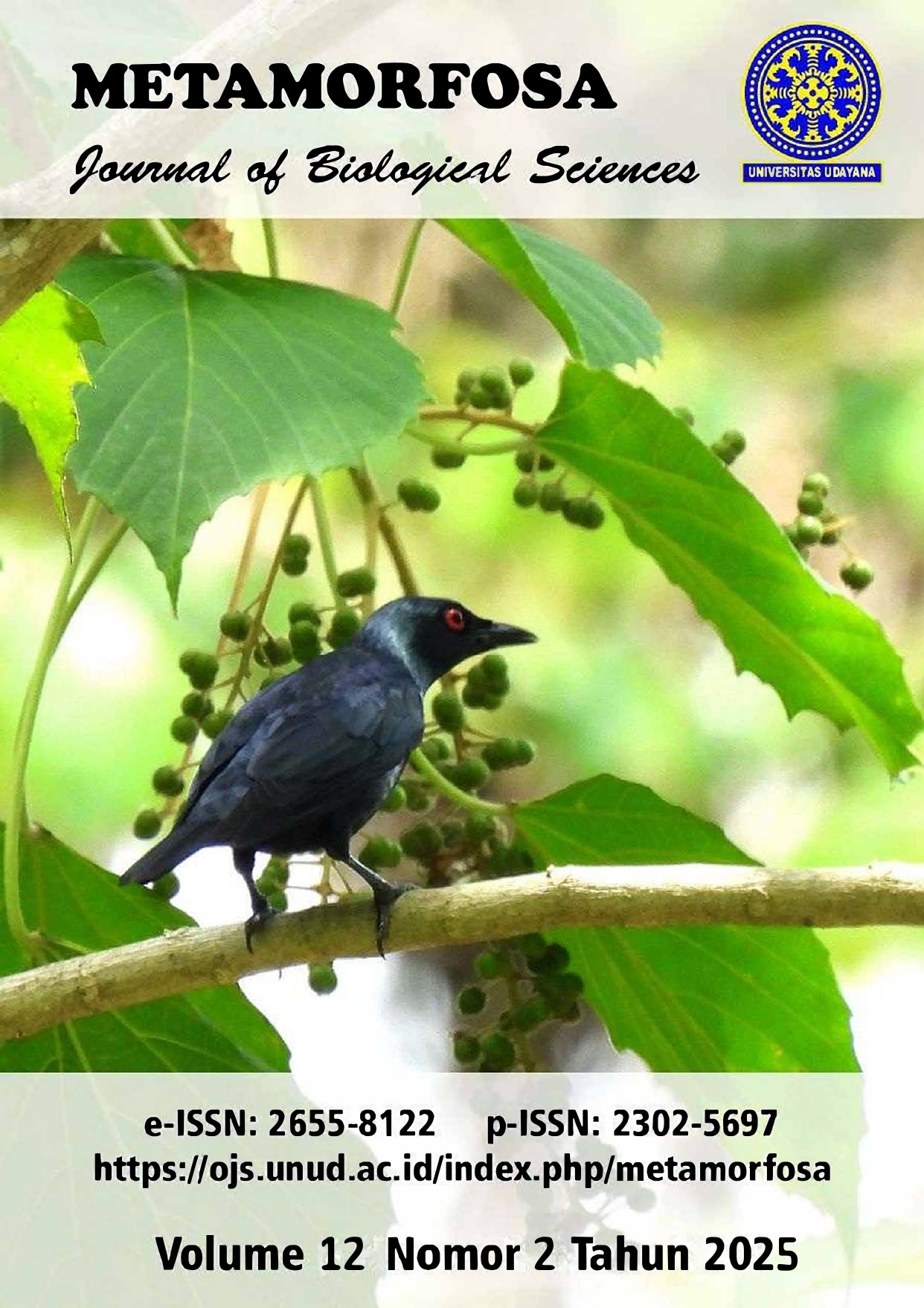 					View Vol. 12 No. 2 (2025)
				