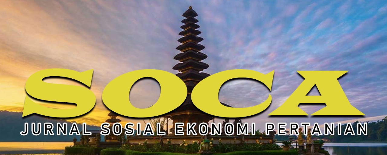 logo soca
